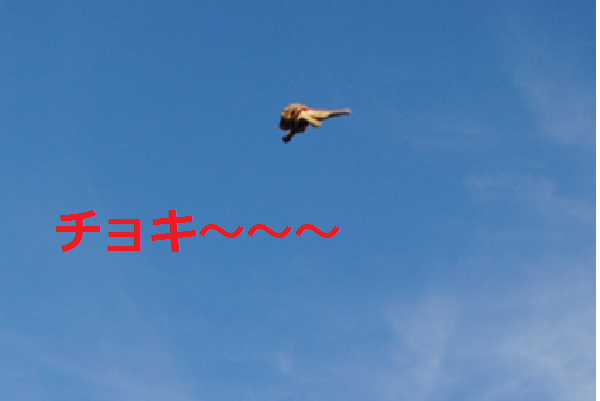 e0291827_11131140.png