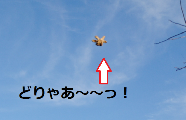 e0291827_11222616.png