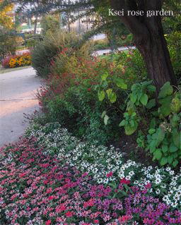 c0199728_1475121.jpg