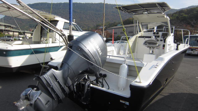 a0132631_7164355.jpg