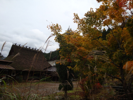 b0207632_10335651.jpg