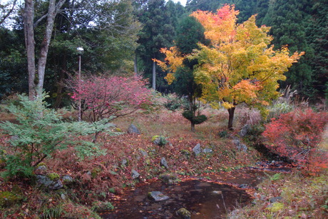 b0207632_1034021.jpg