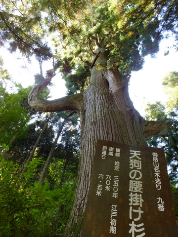 女子ゆるり山歩き会♪　〜10月21日(日)〜_b0281732_11191578.jpg