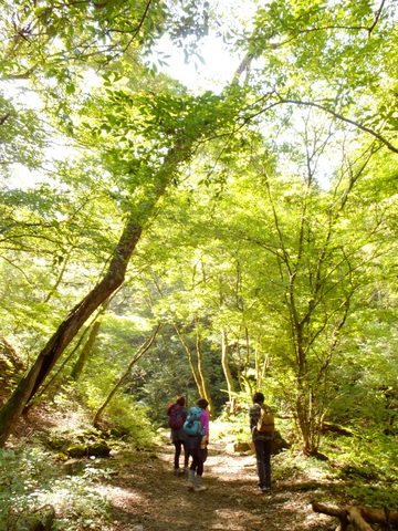 女子ゆるり山歩き会♪　〜10月21日(日)〜_b0281732_11264974.jpg