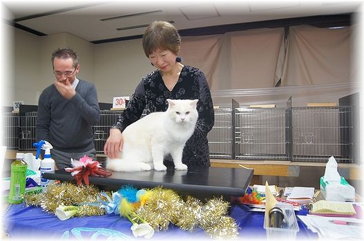 TICA&SCC CAT SHOW 2日目。_c0080132_2364069.jpg