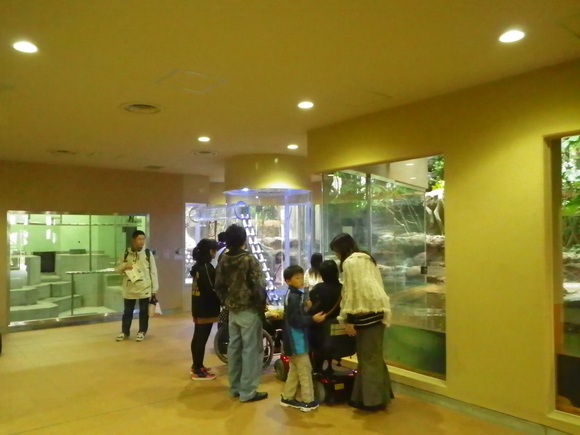 a0272033_1635313.jpg