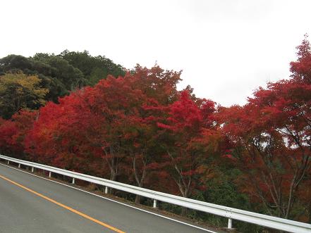 秋の嵐山_b0177436_11573543.jpg
