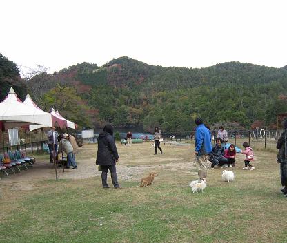 秋の嵐山_b0177436_12152876.jpg