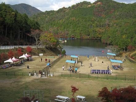 秋の嵐山_b0177436_125432.jpg