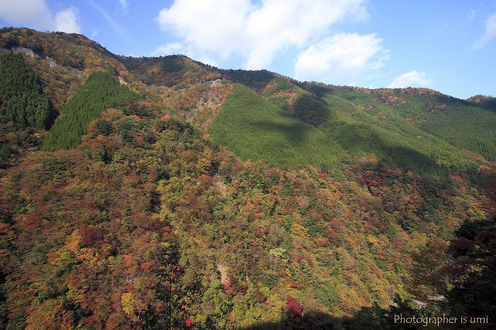 e0083238_23115.jpg