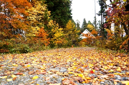 c0204740_13163931.jpg