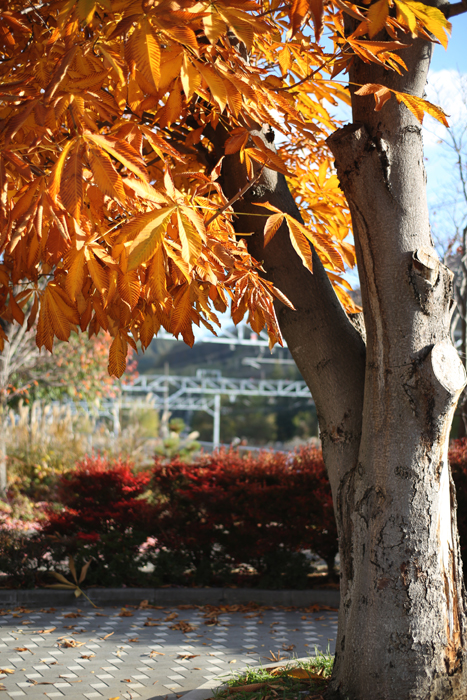 【Nagano Snapshot】塩尻1_c0035245_2202377.jpg