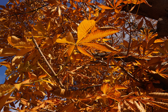 【Nagano Snapshot】塩尻1_c0035245_222171.jpg