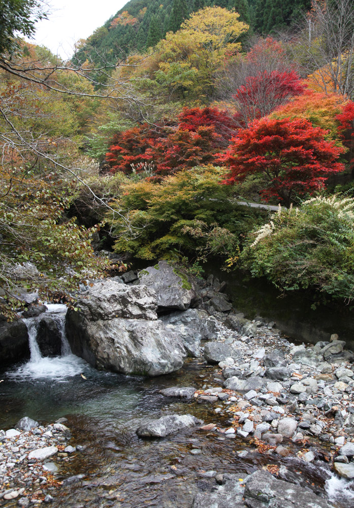 天川村　みたらい渓谷　紅葉 1_c0108146_21211595.jpg