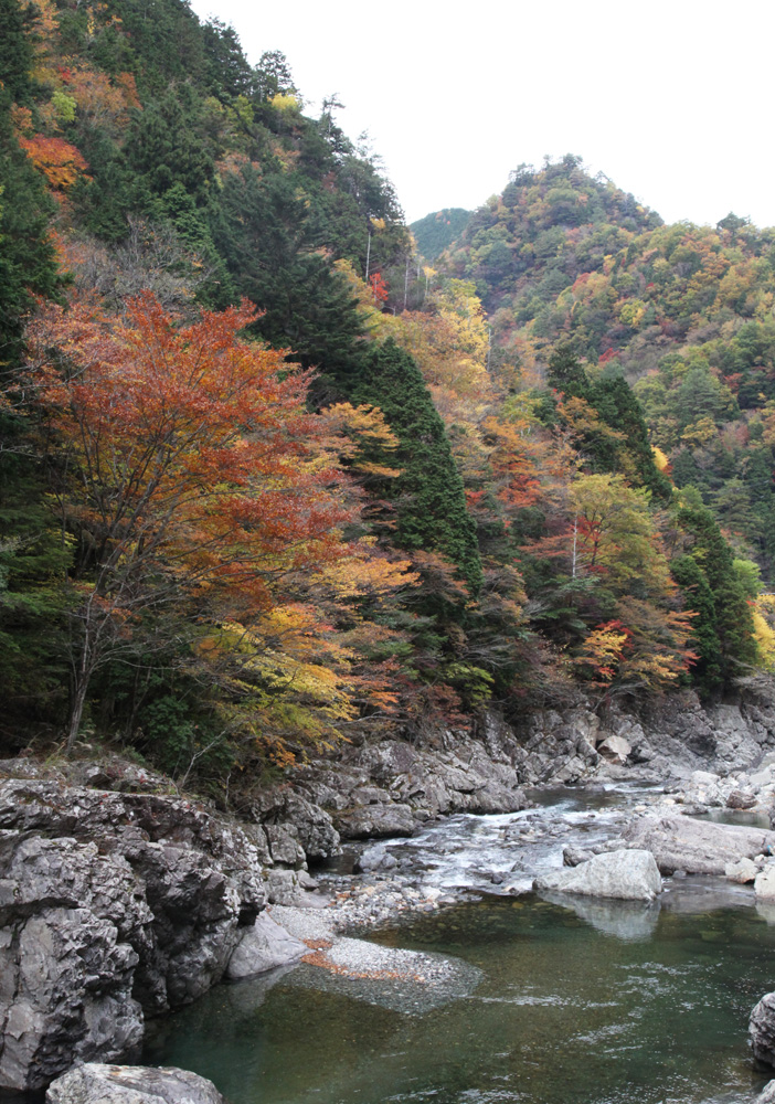 天川村　みたらい渓谷　紅葉 ２_c0108146_21323884.jpg