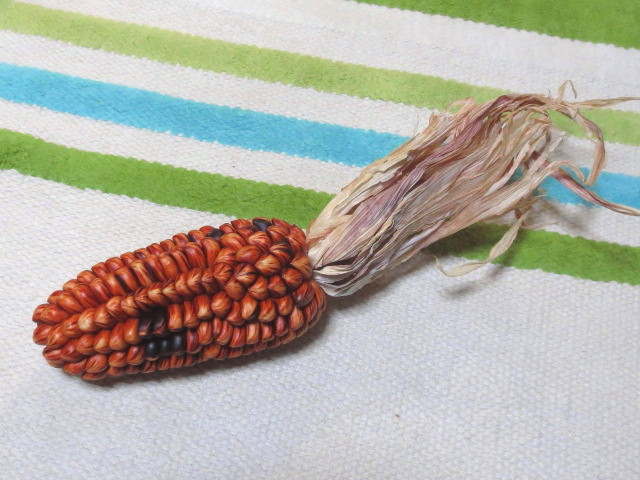 b0097747_12494139.jpg