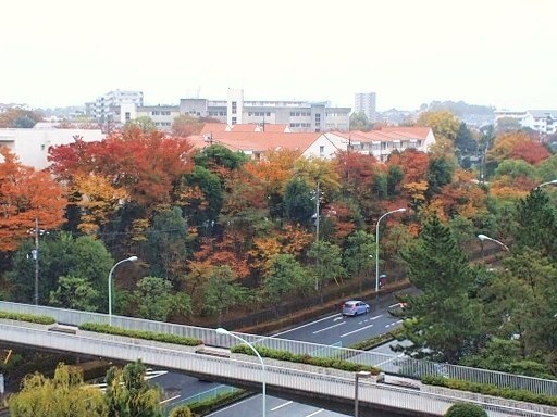 雨の日曜日_f0096147_191849100.jpg