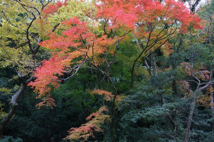 石の上にも三年 大阪 箕面の滝 暮らし英語楽しみながら