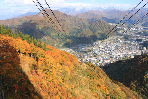 e0028650_15535141.jpg