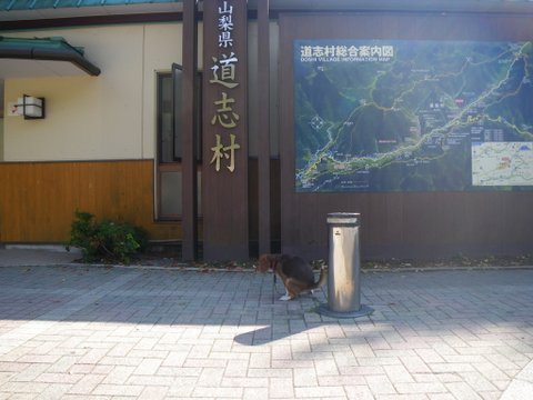 f0046250_1945938.jpg