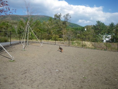 f0046250_19552470.jpg