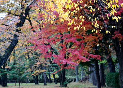 f0077150_207019.jpg