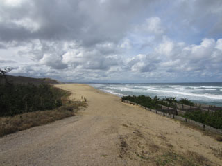a0052952_14251.jpg