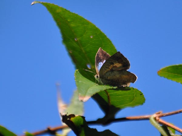 c0045352_1574997.jpg