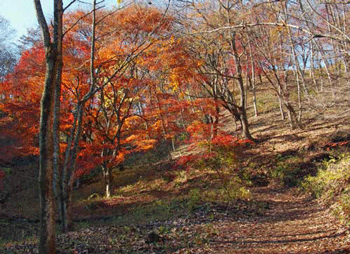 a0044453_21112899.gif