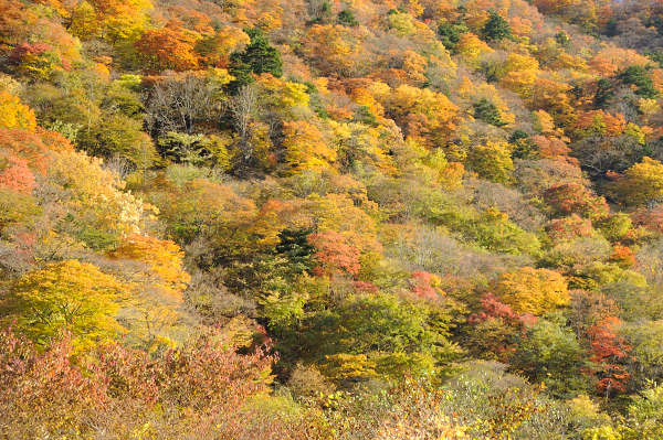 b0283455_16432160.jpg