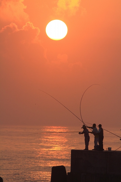 早朝の釣り　2　　 2012－11－12　更新_e0229455_17584236.jpg