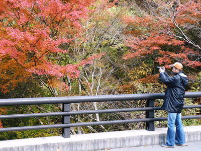菊池渓谷 紅葉photoコレクション_a0254656_0544677.jpg