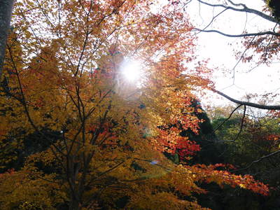 菊池渓谷 紅葉photoコレクション_a0254656_1303193.jpg