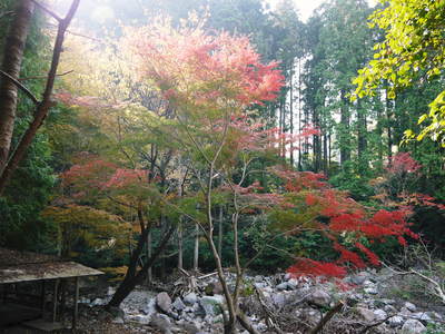 菊池渓谷 紅葉photoコレクション_a0254656_1392550.jpg