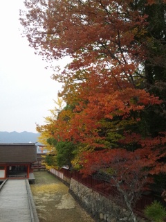 b0129860_1514163.jpg