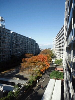 b0108363_7115623.jpg