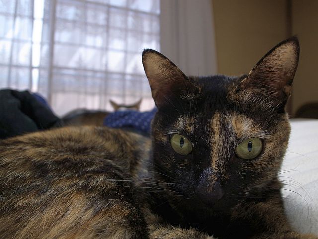 e0220163_1737627.jpg