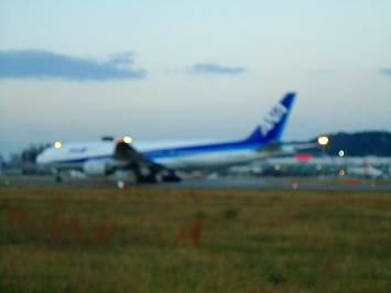 アレックス、飛行機見物初体験_e0002466_19562311.jpg