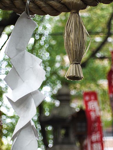 紫野（むらさきの）散歩写真_c0191967_21444162.jpg