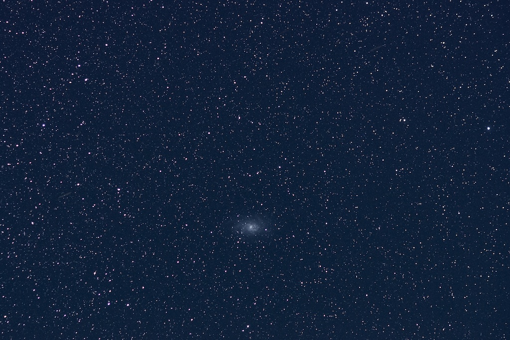 b0039170_1947772.jpg