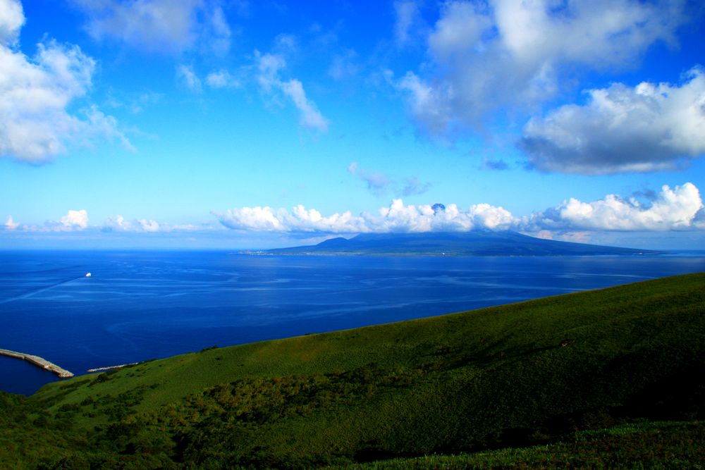 a0166371_19553790.jpg