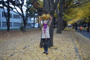 b0003280_1824461.gif