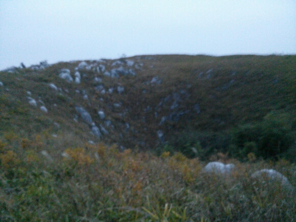 e0281680_17394.jpg