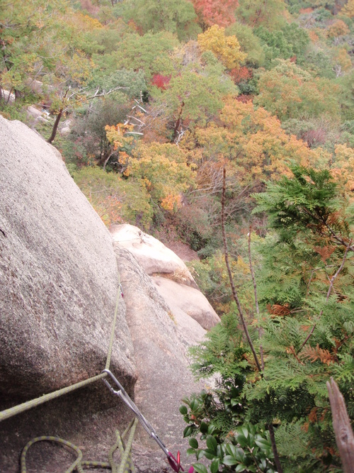f0223480_815538.jpg