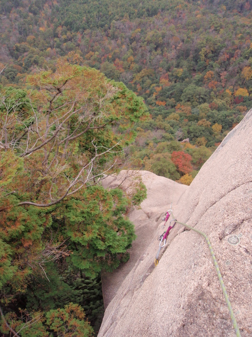 f0223480_8235597.jpg