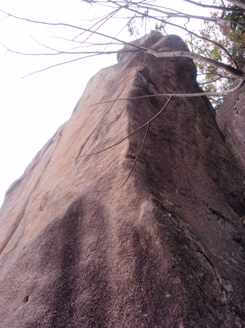f0223480_8281271.jpg