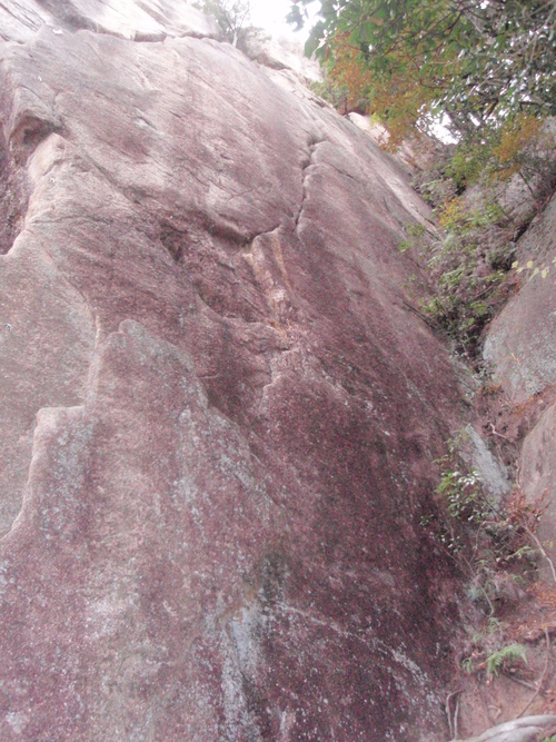f0223480_8282353.jpg