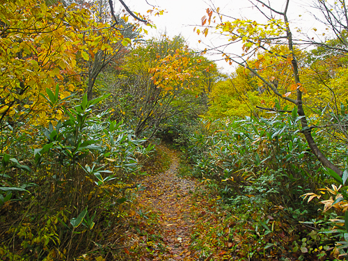 c0203681_14314195.jpg