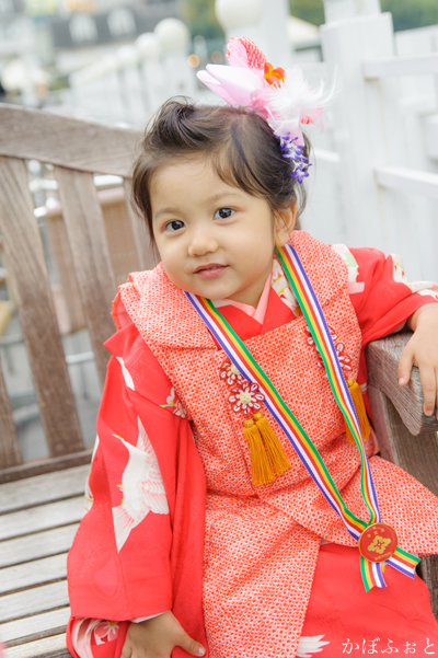 七五三の写真撮影 千代田区 東京大神宮 かぼふぉと 撮影ブログ