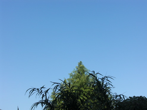 e0216090_21151064.jpg